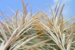 Photo Op: Beauty in the Desert