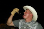 Wordless Wednesday – Scorpion for Dinner?