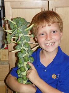 Five Ways to Get Your Kids Excited About Produce Five Ways to Get Your Kids Excited About Produce
