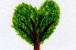 5 Most Popular Posts of 2011
