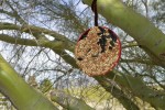 Easy DIY Bird Feeder