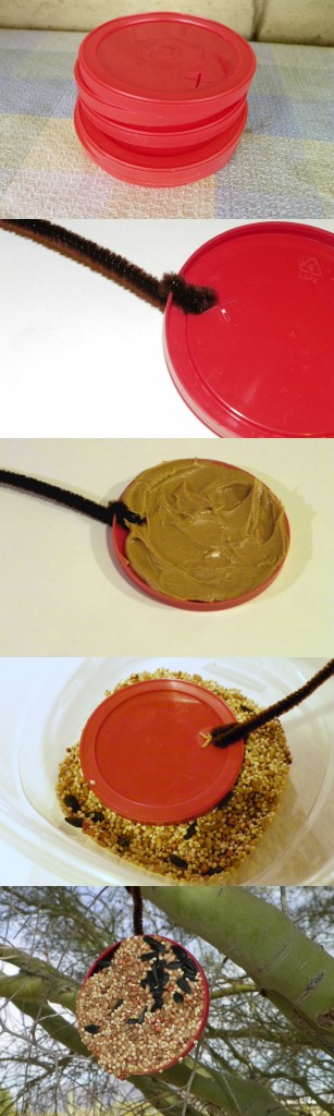 Easy DIY Bird Feeder Easy DIY Bird Feeder
