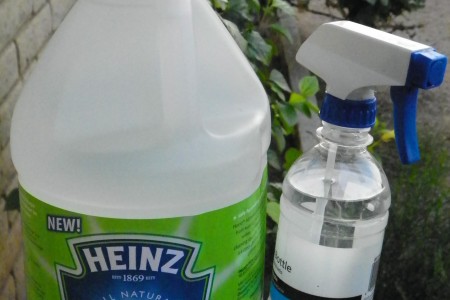 #heinzvinegar