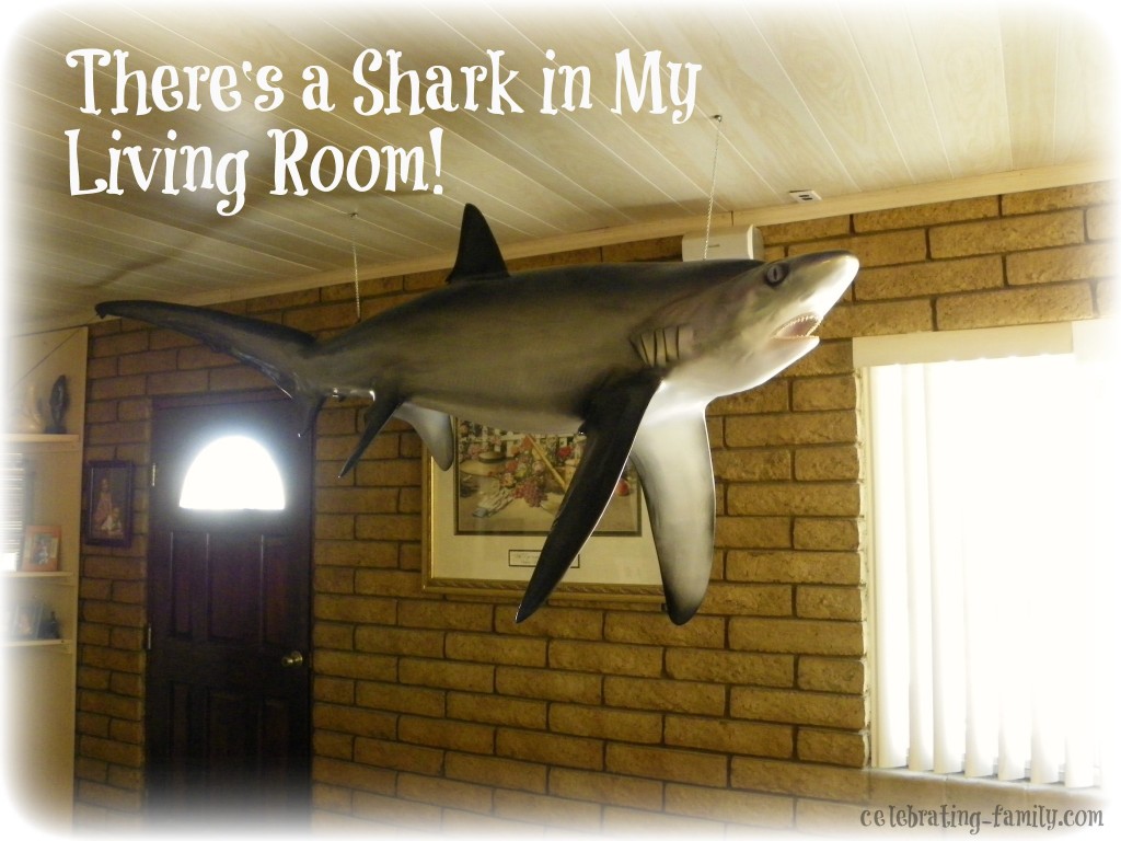 shark in living room