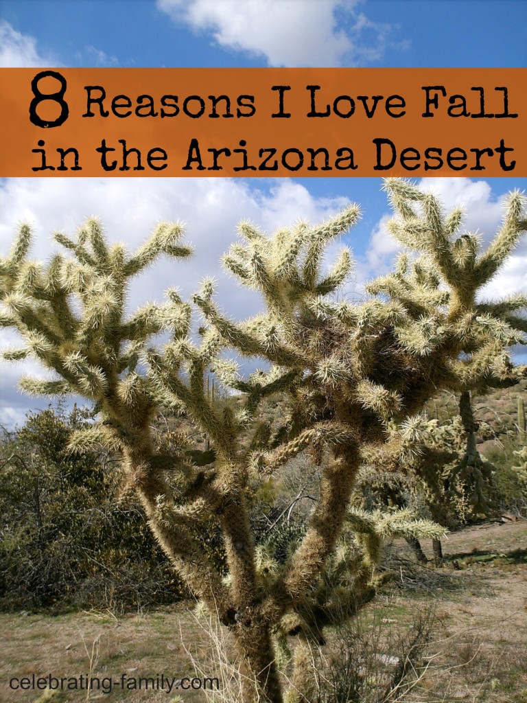 Eight Reasons I Love Fall in the Arizona Desert