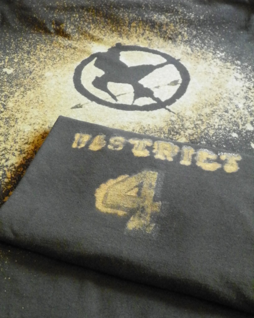 DIY Hunger Games Shirts by Celebrating Family