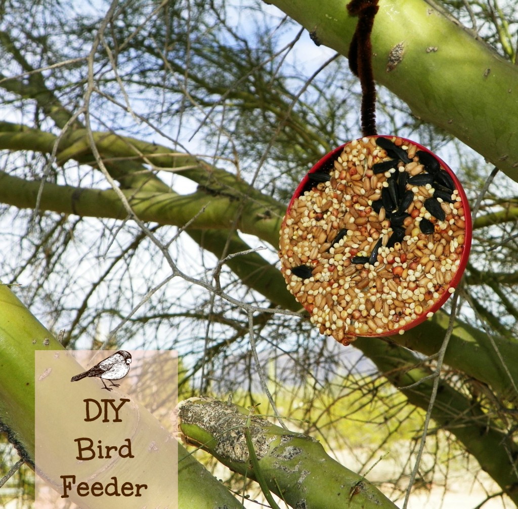 DIY Bird Feeder by Celebrating Family. Perfect for Scouts, birthday parties, or just for fun.