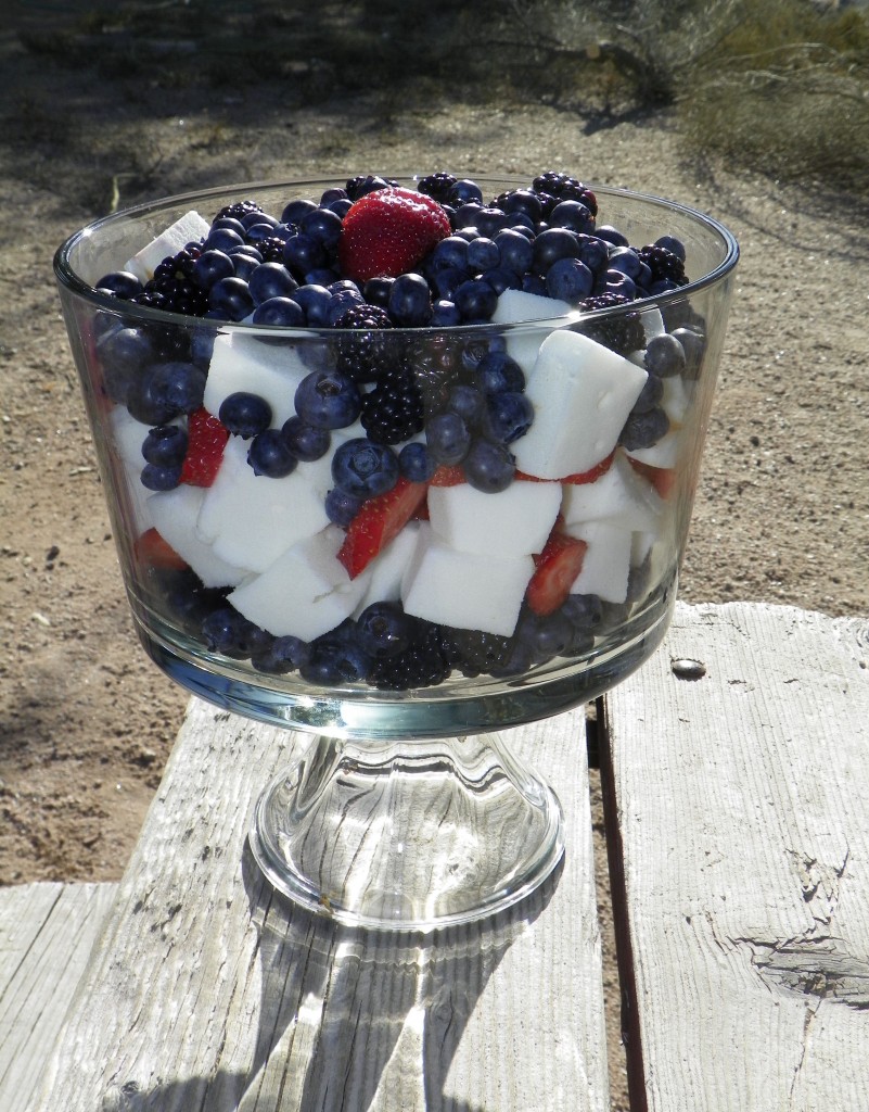 Red, white and blue dessert. Perfect for July 4th and Memorial Day gatherings.