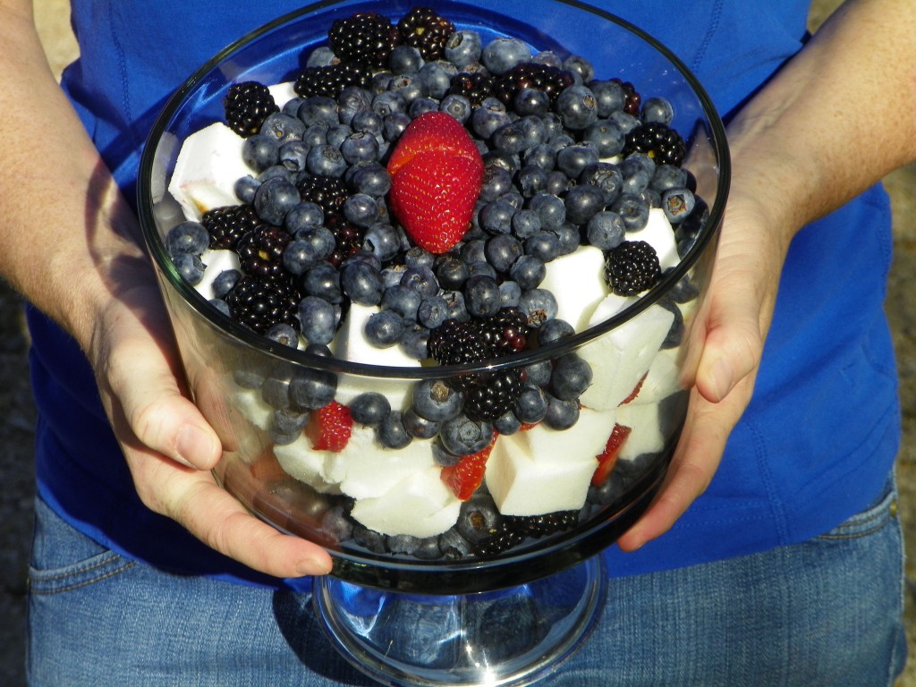 Red, white, and blue dessert. Perfect for Memorial Day or July 4th.