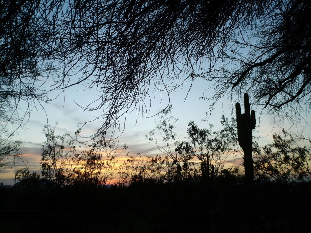 Arizona Skies - by Janice Stenglein