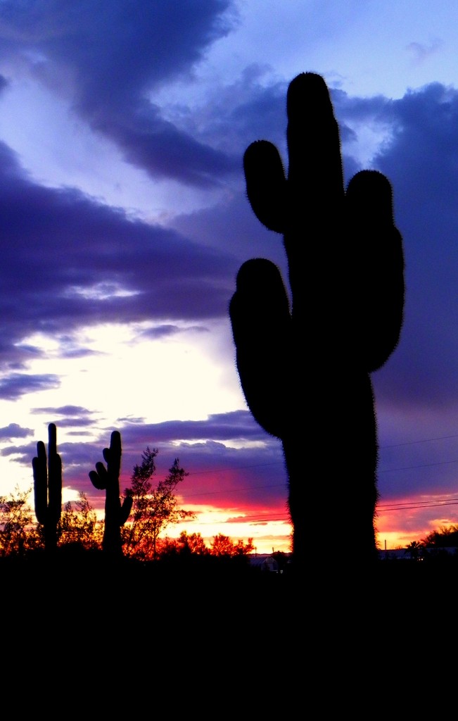 Arizona Skies - by Janice Stenglein