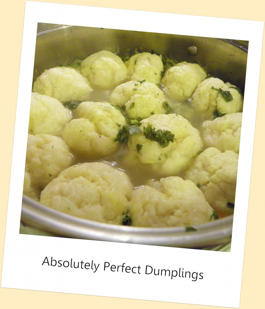 Absolutely Perfect Dumplings - Celebrating Family