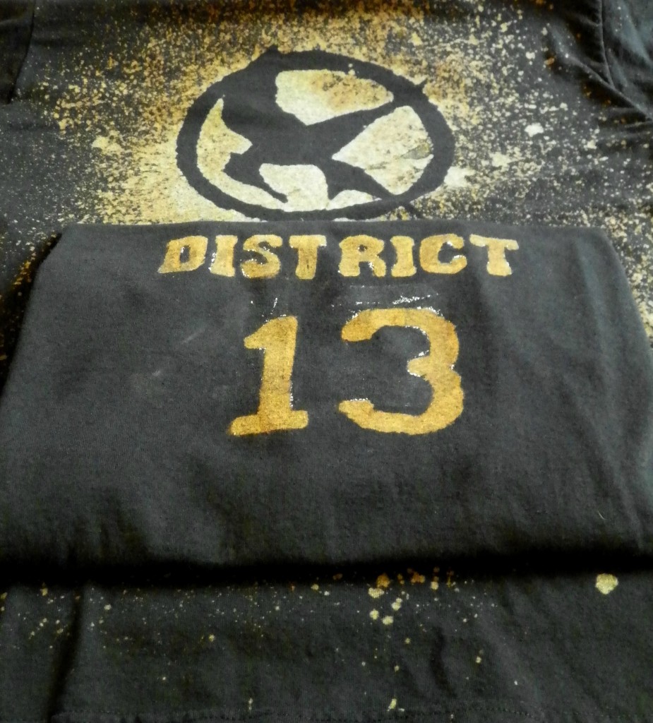 DIY Hunger Games Shirts by Celebrating Family