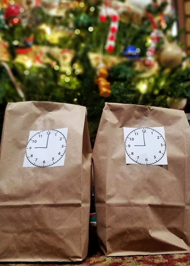 Two bags in front of a Christmas tree