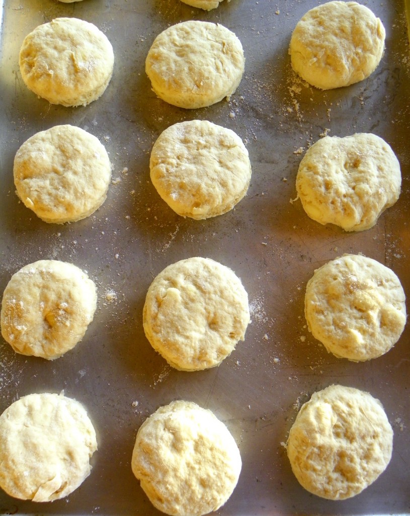 scratch buttermilk biscuit recipes