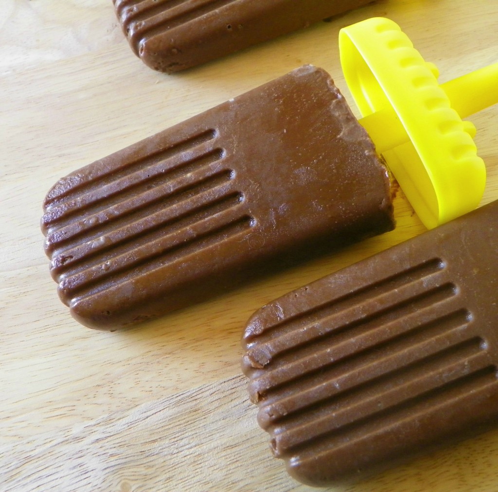 Vegan pudding pops (can also be made with dairy)