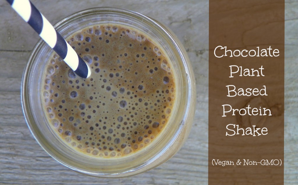 Chocolate Plant Based Protein Shake 