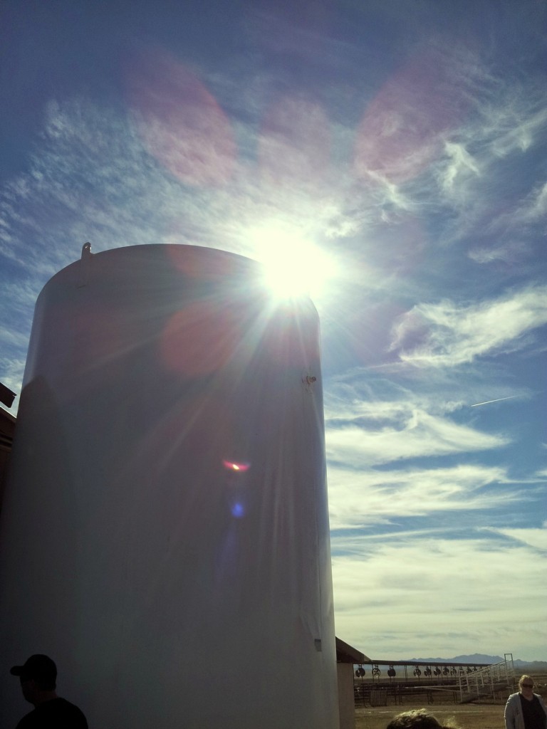 Reasons why you should take Your Kiddos to a Working Farm. Plus information about where milk comes from.