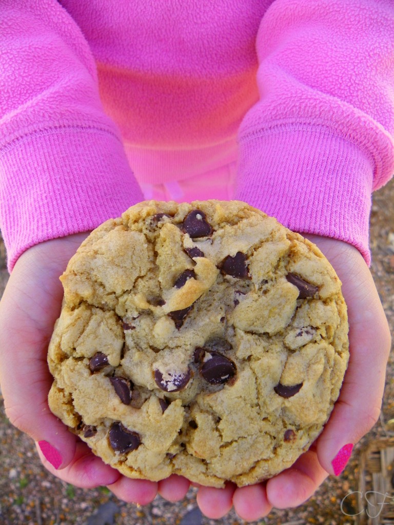 Big, Fat, Chewy Chocolate Chip Cookies