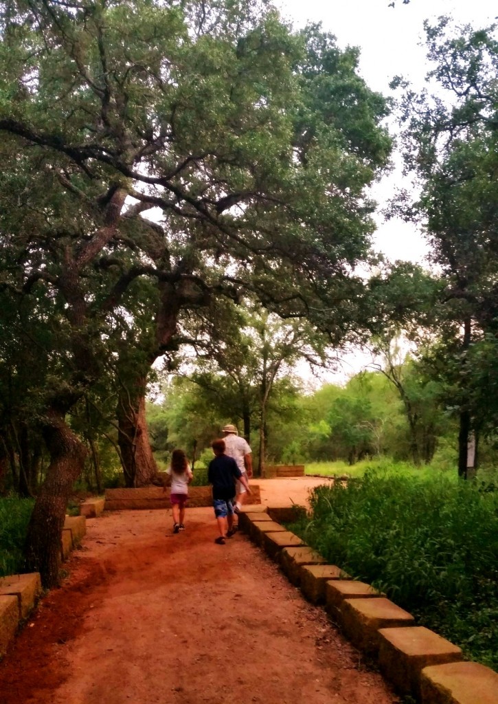 Phil Hardberger Park