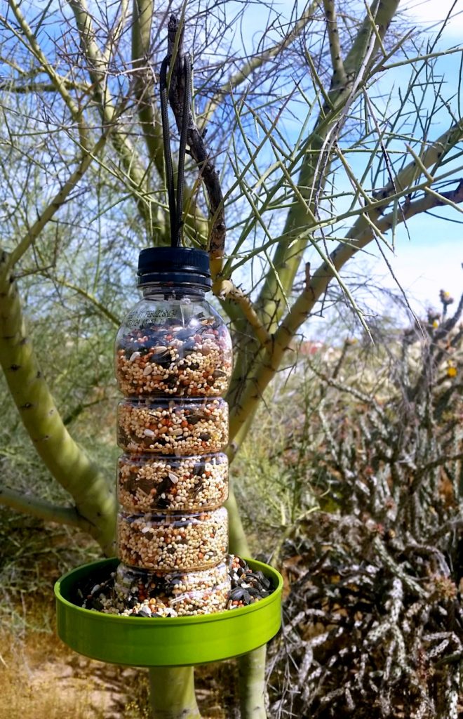 DIY Bird Feeder #HonestSustainabiliTEA #ad #RefreshinglyHonest 