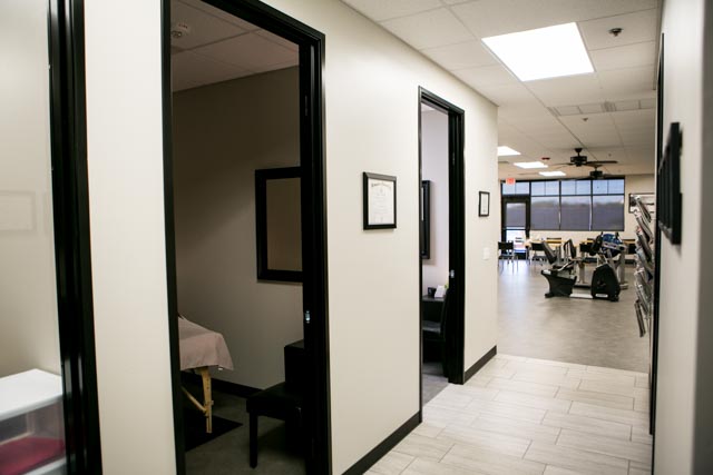 The Neuromuscular Studio