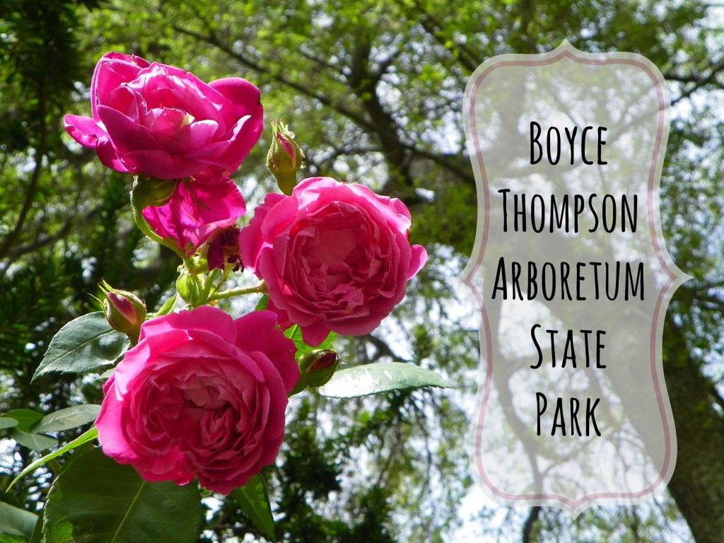 Boyce Thompson Arboretum State Park title image