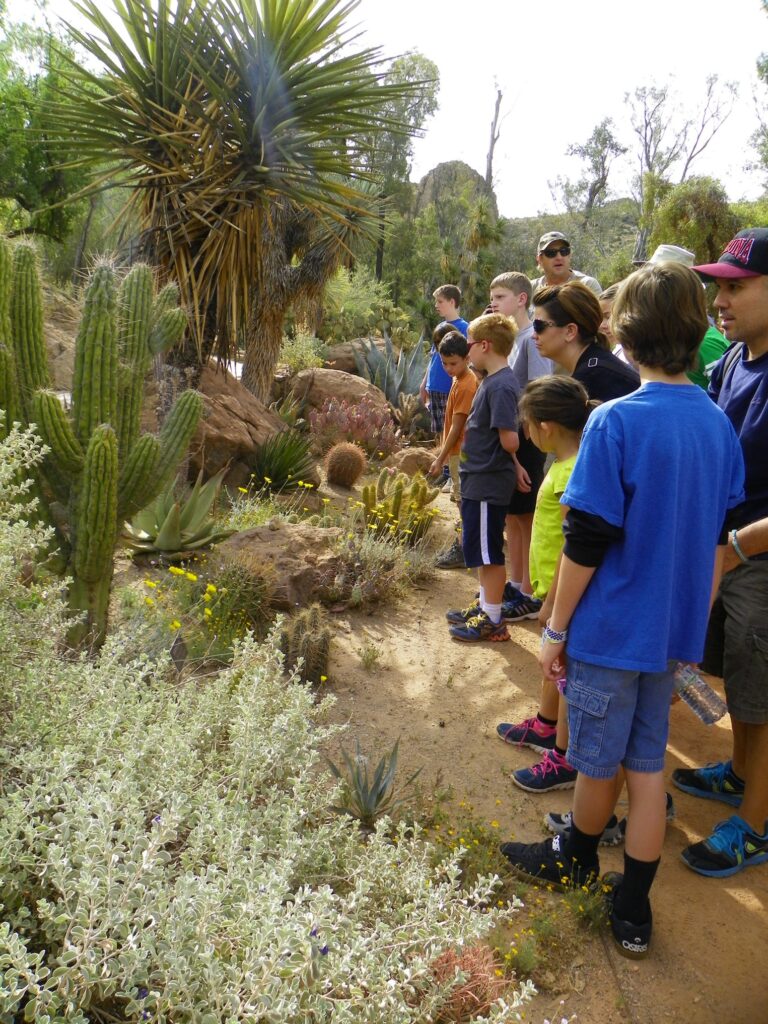 Boyce Thompson Arboretum State Park group tour